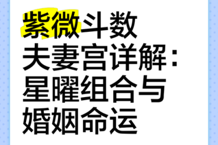 紫薇斗数揭秘：揭开你命运的奥秘与人生指引