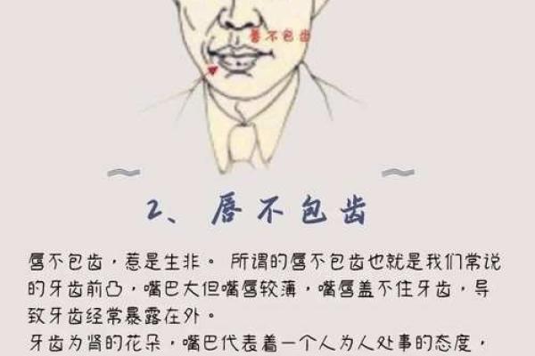 颧骨突出外翻的命运解析：面相与人生的奥秘