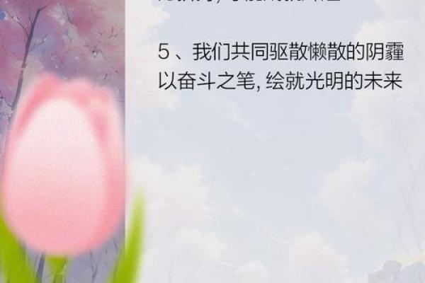 拼搏人生，谁与争锋：探寻《拼命三郎》的深刻意义与情感共鸣