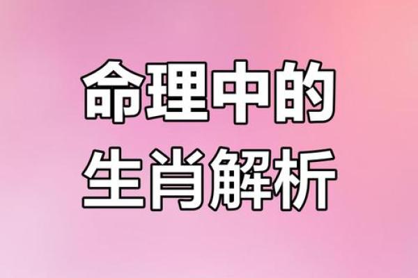 什么命的人丧妻财运好？揭示命理与财富的奥秘！