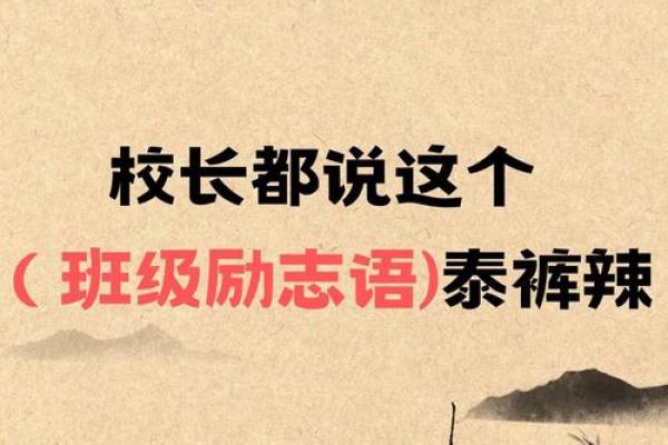 探秘“命运之道”：一命二运三命局的深刻意义与影响