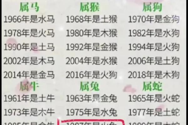 1964年属龙的木命解析：命运与性格的深度剖析