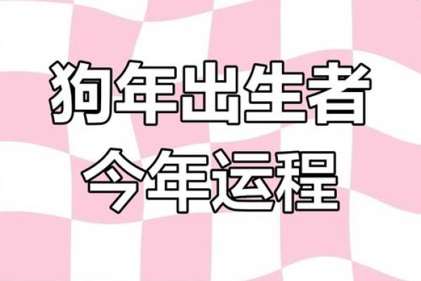 2018年狗年命运解析：属狗人的运势与生活指南