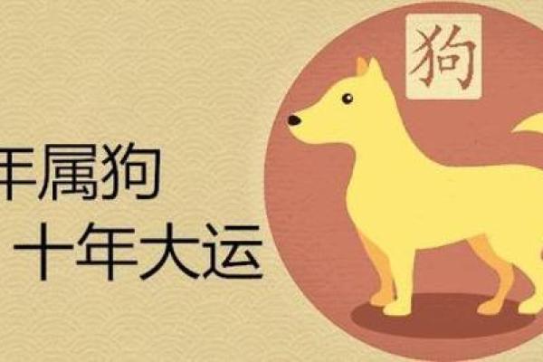 2018年狗年命运解析：属狗人的运势与生活指南