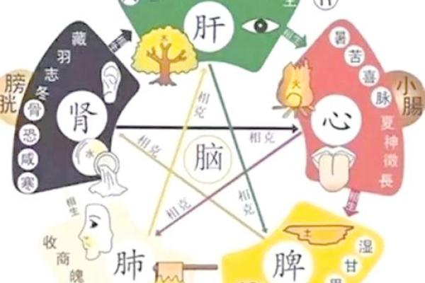 牛年出生的人命理解析：五行属性与性格分析