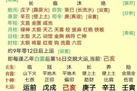 1982年生人的命运之谜：探究其八字与人生轨迹