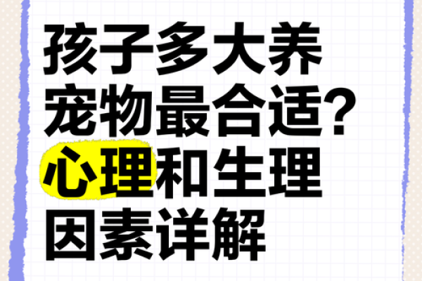 童子命的人适合养什么宠物？让我们一起来探讨！