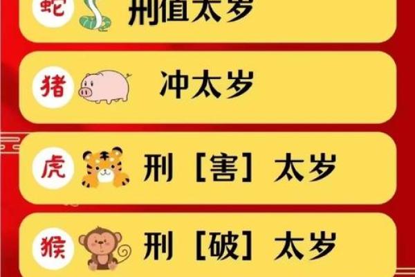 探秘嗜血如命：揭开生肖中的秘密