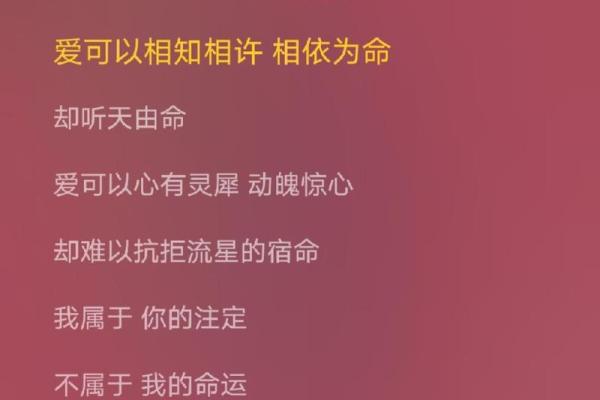 探寻命运的旋律——《没那种命》的深刻寓意与情感表达