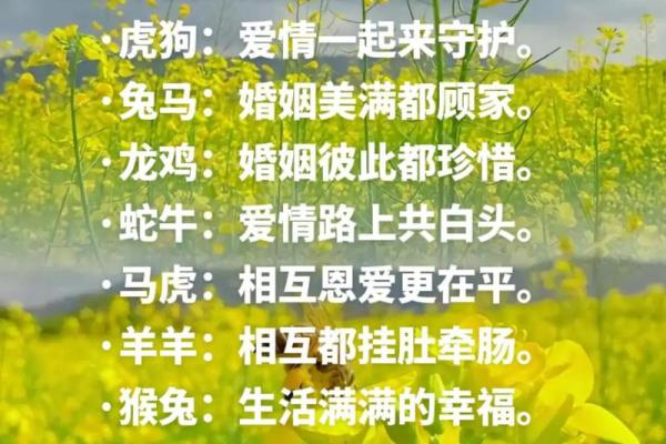 探秘生肖女命犯桃花，爱情与命运的交织