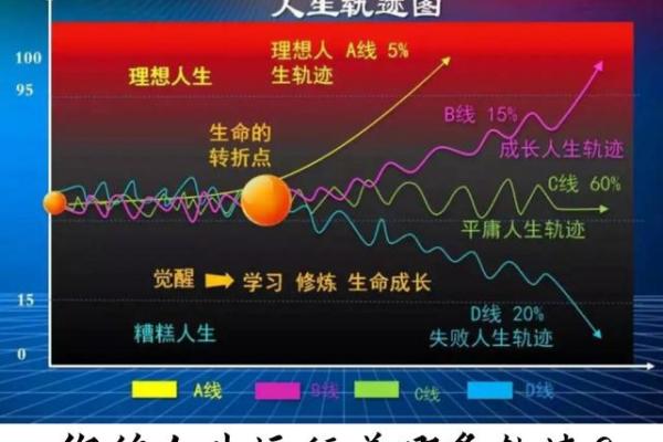 根据出生年查询命运：探寻你的隐秘人生轨迹