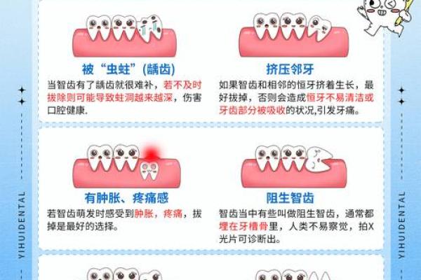 牙齿25颗代表的命理玄机与人生探索