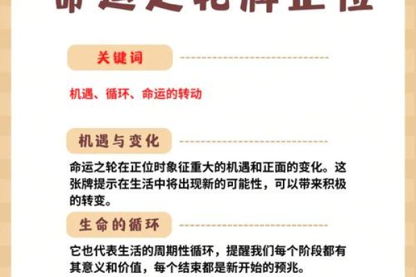 51岁属什么命？揭示命运背后的奥秘与智慧