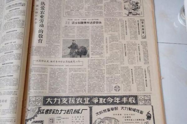 1961年出生的人命理分析：命运与性格的深度探秘