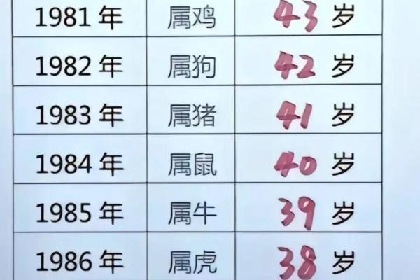 44岁属什么命？探寻2023年你的命运与运势变化