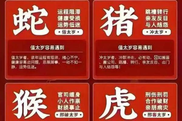 2011年是什么命年份？揭示辛卯兔年的命运密码！