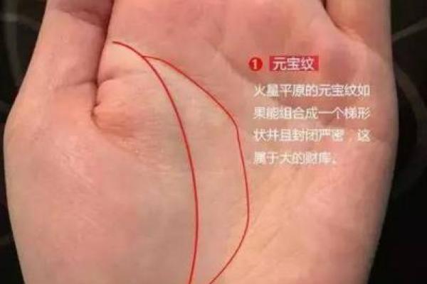 女人上身长是什么命：解读身体特征与命运的关系