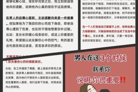 情命：命运与爱情的交织，揭示内心深处的秘密与可能性