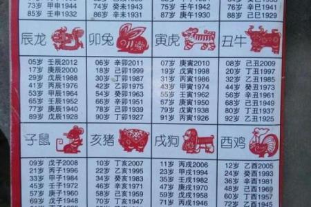 80年申猴命运探秘：聪明与挑战共存的一生