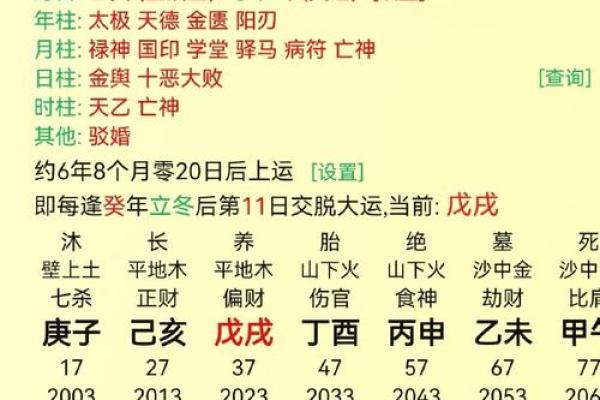 探索丁酉山下火命的深邃奥秘：命理中的火之精神与人生启示