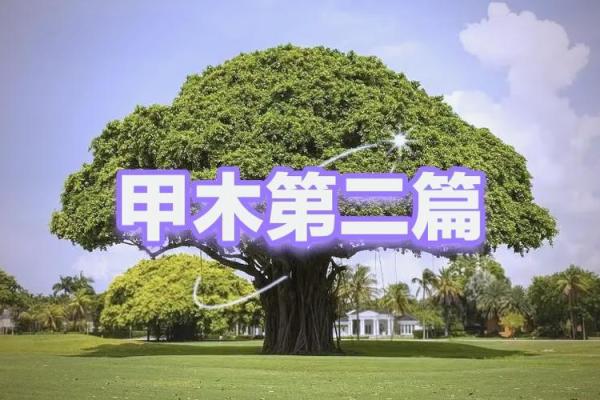 2022年虎宝命理解析：性格特征与命缺分析，帮助找到人生方向