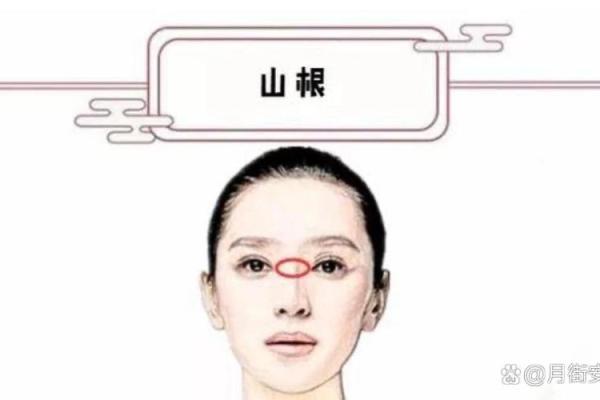 揭示女命贵气之秘：从命理特征看女性的命运与魅力