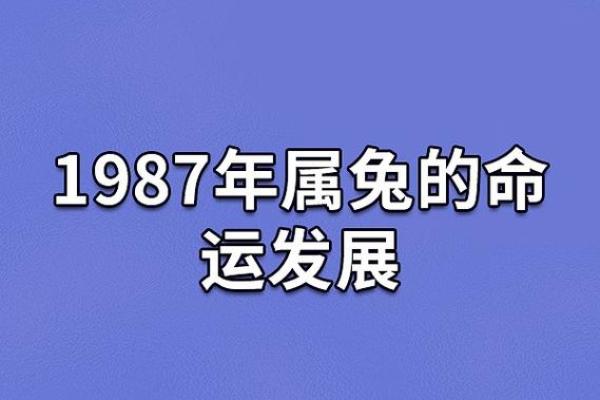 29年农历命运揭秘：解锁1985年出生的秘密与潜能