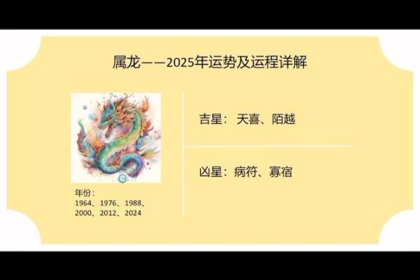 探秘2012属相龙的命运：智慧与力量的象征之旅