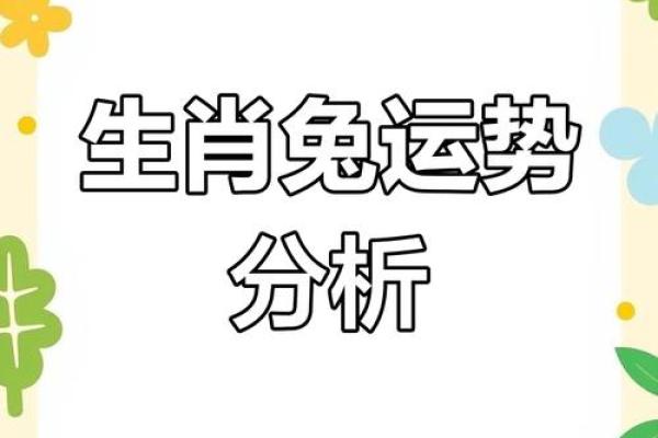 癸卯兔在夏天出生：运势与命理的深度解析