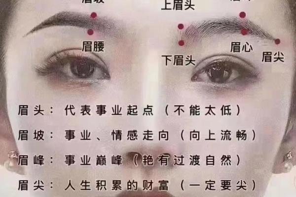 眉毛长短与命运：了解女人眉毛长的深层含义