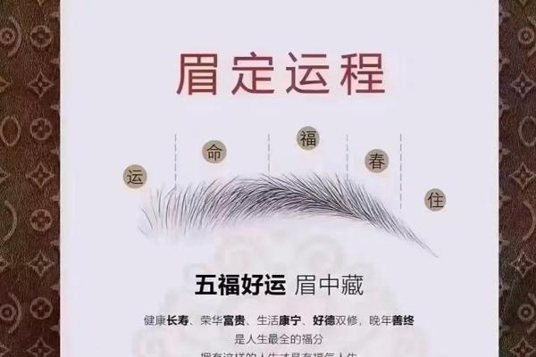 眉毛长短与命运：了解女人眉毛长的深层含义