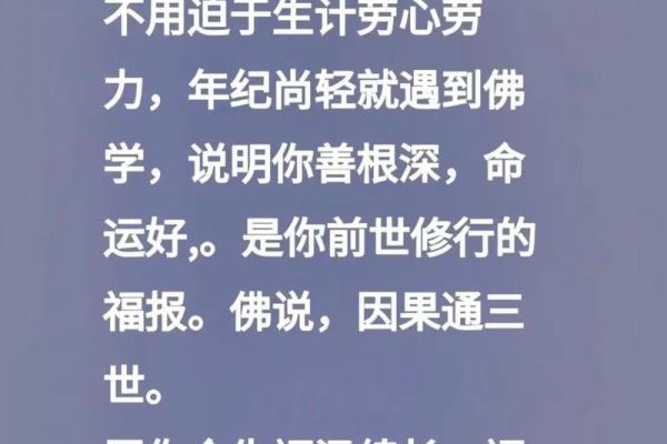 以“命”论“运”：探寻命运中的因果关系与自我掌控之道