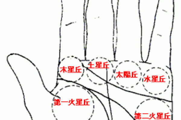 金星带手纹的秘密：揭开命运与个性的神秘面纱