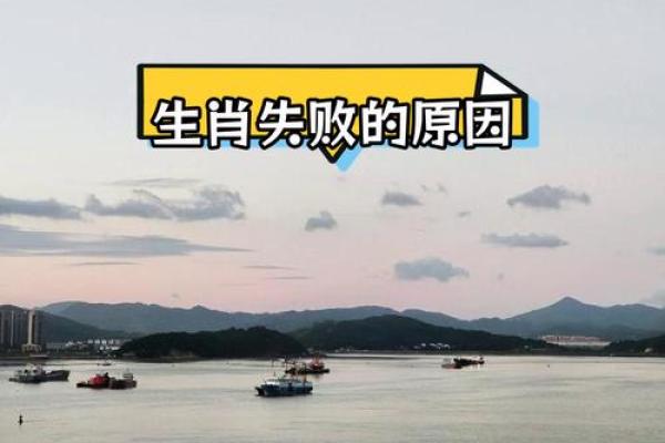 交情恶化难逃命运：生肖背后的暗流与启示