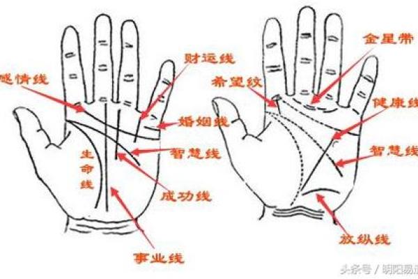 手纹深沉，命运的秘密：从手相看人生暗示