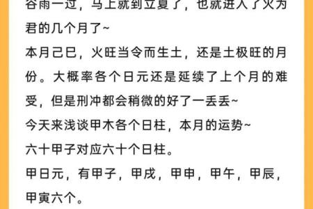 戊辰年出生的命理解析：性格、运势与人生指导