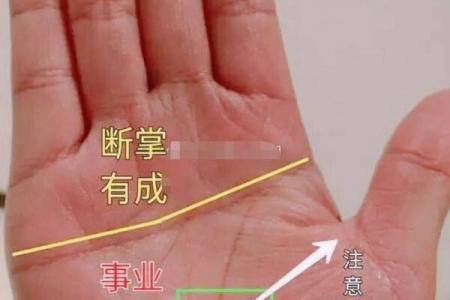 男人断掌双手的命理解析：奇特手相的深层意义与人生轨迹