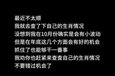 2021年属鼠之人的命理解析与成功之路探讨