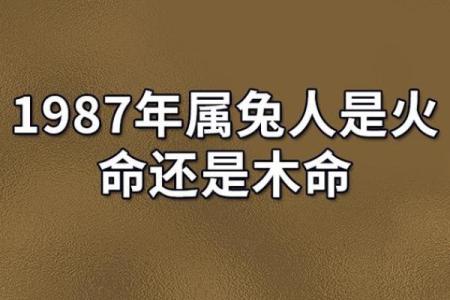 1986年兔年，属火命的兔子运势与性格解析