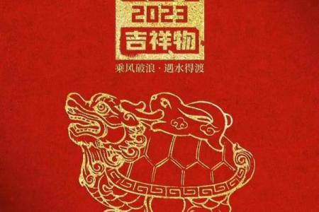 1963年属兔的水兔命：你我的缘分与未来之路