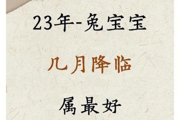 2023年兔年命理解析：兔年出生者的运势与性格特点