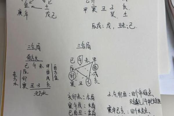 命理学的奥秘：解读命运、性格与人生机遇的智慧