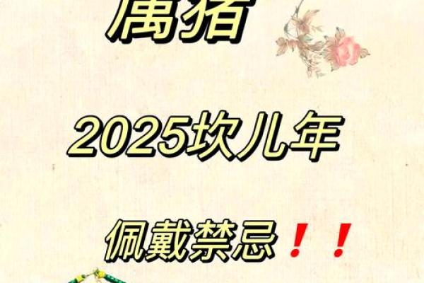 2019年属猪男孩命运分析与个性特征探讨