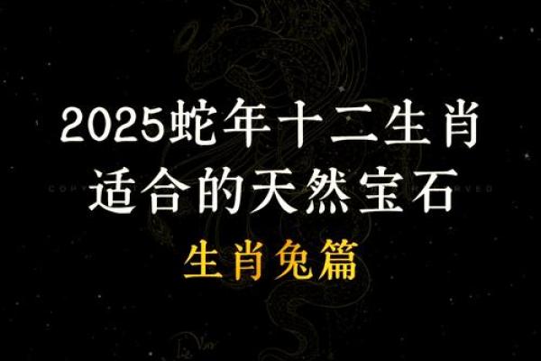 45岁属兔人的命运探秘：智慧与机遇并存的转折点