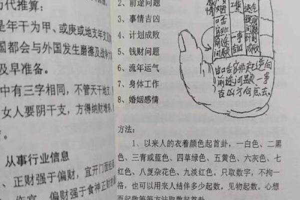 算命小鸟：揭示命运奥秘的神秘存在