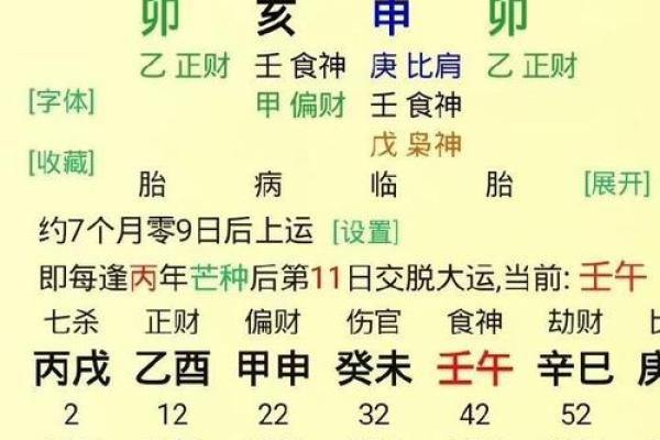 属猪申时男孩命运解析：八字与性格的奥秘探寻