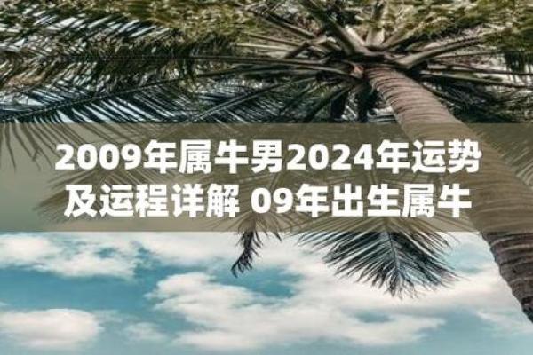 2009年属牛人的命格解析：如何把握人生运势与发展方向