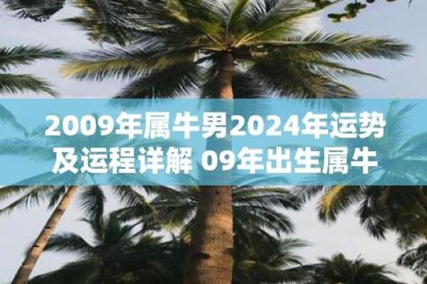 2009年属牛人的命格解析：如何把握人生运势与发展方向