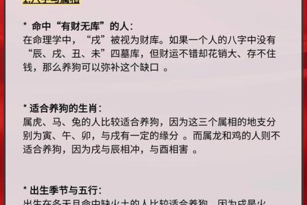 40岁属狗的人命运与性格解析：探寻生肖背后的智慧和魅力