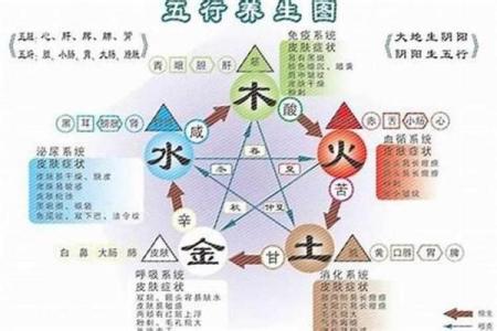 理解命理学：金木水火土命与我们生活的深刻联系